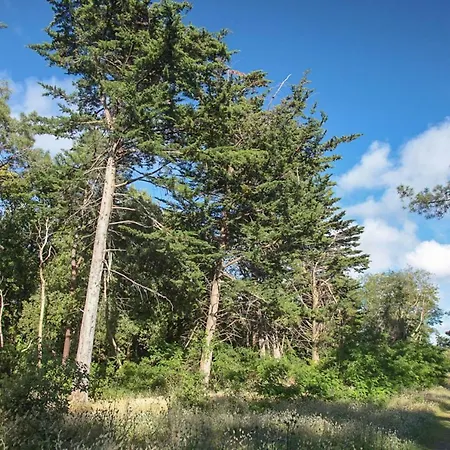 Calme Des Pins & Szálloda 3*