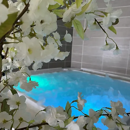 Hotel Calme Des Pins&spa