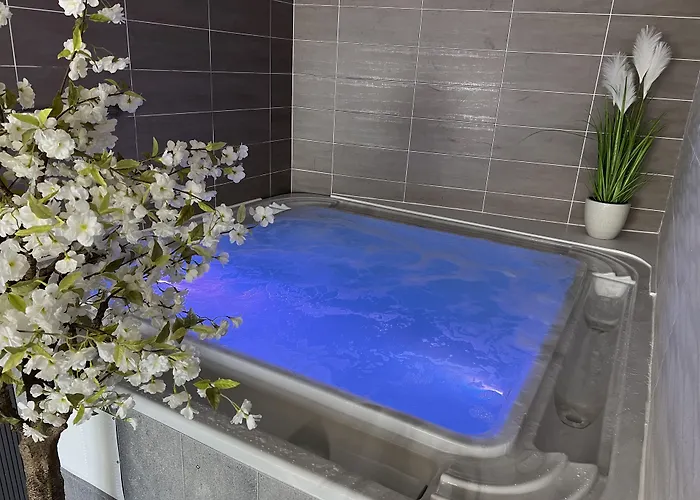 Hotel Calme Des Pins&spa 3*