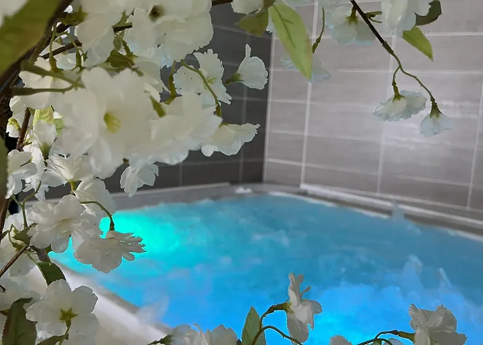 Hotel Calme Des Pins&spa